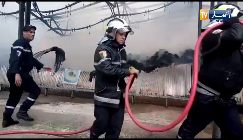 تسخير إمكانيات كبيرة لإخماد حريق ملبنة الطارف
