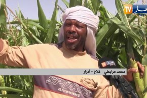 أدرار : الفلاحون بمحيط عين الفتح يطالبون بتوفير الكهرباء الفلاحية