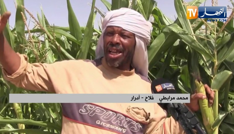 أدرار : الفلاحون بمحيط عين الفتح يطالبون بتوفير الكهرباء الفلاحية