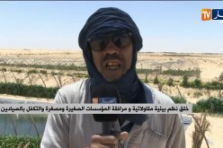 الحكومة تتجه نحو إطلاق برنامج واسع لتربية المائيات البحرية