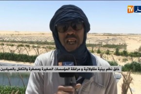 الحكومة تتجه نحو إطلاق برنامج واسع لتربية المائيات البحرية