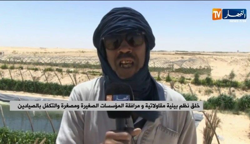 الحكومة تتجه نحو إطلاق برنامج واسع لتربية المائيات البحرية