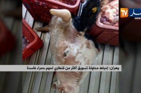 وهران/ إحباط محاولة تسويق أكثر من قنطاري لحوم حمراء فاسدة