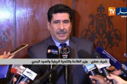 فلاحة: فتح نقاط جمع الحبوب حتى الليل ودفع مستحقات المنتجين مباشرة