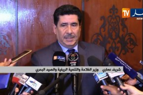 فلاحة: فتح نقاط جمع الحبوب حتى الليل ودفع مستحقات المنتجين مباشرة