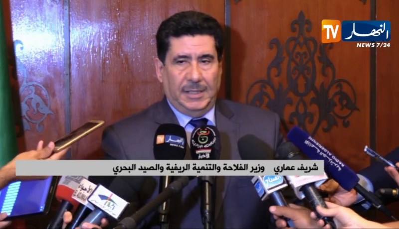 فلاحة: فتح نقاط جمع الحبوب حتى الليل ودفع مستحقات المنتجين مباشرة