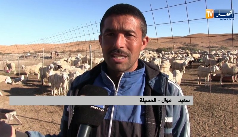 المسيلة: معاناة الموالين مع الحمى القلاعية متواصلة وتسجيل خسائر معتبرة