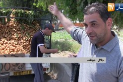 تجارة: شاحنات “الهربيل” .. ملجأ ذوي الدخل المحدود هروبا من نار الأسواق في رمضان