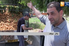 تجارة: شاحنات “الهربيل” .. ملجأ ذوي الدخل المحدود هروبا من نار الأسواق في رمضان
