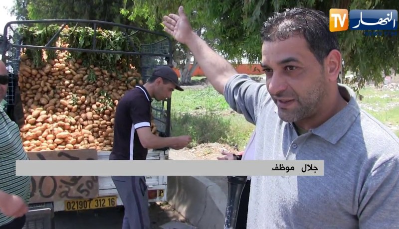 تجارة: شاحنات “الهربيل” .. ملجأ ذوي الدخل المحدود هروبا من نار الأسواق في رمضان
