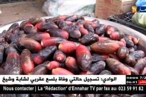أدرار: أسعار التمور بالأسواق تفوق 700 دج للكلغ