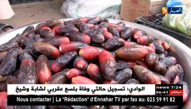 أدرار: أسعار التمور بالأسواق تفوق 700 دج للكلغ