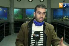 عين تموشنت:” الأكواريوم”  تحفة سياحية وعلمية تعرض أسماك نادرة