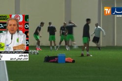 رابح ماجر: نحترم خيارات المدرب وكلنا وراء المنتخب
