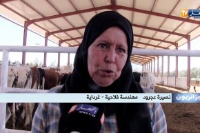 جزائريون: تحدي مستثمرين جزائريين يحول صحراء غرداية إلى جنة خضراء