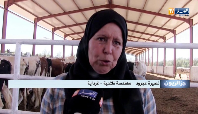 جزائريون: تحدي مستثمرين جزائريين يحول صحراء غرداية إلى جنة خضراء