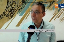 مالية/ الخبراء…الفساد من أسباب فشل عملية الدفع الإلكتروني بالجزائر