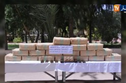 دفاع: حجز ازيد من 5 قناطير من الكيف المعالج بمنطقة بني ونيف الحدودوية ببشار
