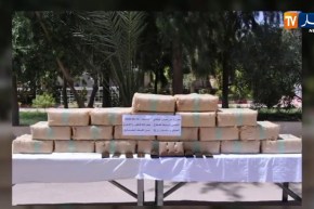 دفاع: حجز ازيد من 5 قناطير من الكيف المعالج بمنطقة بني ونيف الحدودوية ببشار