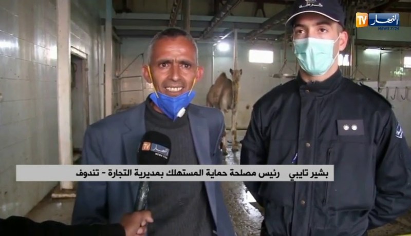 تندوف/ النهار تقف على الوضعية الكارثية للمذبح البلدي