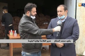 البليدة/ هذه هي الإجراءات المتخذة لضمان تموين سكان المنطقة بالخضر والفواكه