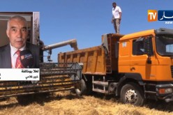 فلاحة: رغم وفرة الإنتاج.. الجزائر لم تتوقف أبدا عن إستيراد الحبوب