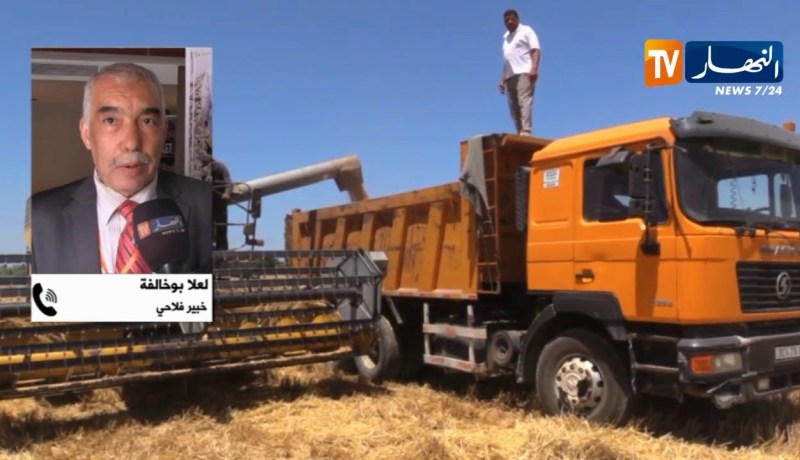 فلاحة: رغم وفرة الإنتاج.. الجزائر لم تتوقف أبدا عن إستيراد الحبوب