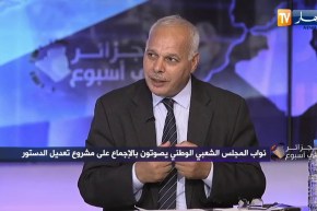 أحمد الدان: لجنة تعديل الدستور كان بإمكانها تقديم دستور أكثر توافقية بدون قصور