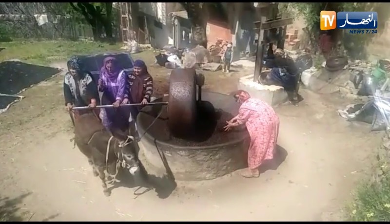 قرية تاكوشت.. معاصر قديمة تختزل الحياة البدائية