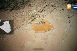 الأغواط: حجز أكثر من 16 قنطار من الدجاج الفساد وتوقيف شخص مشتبه فيه