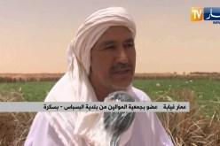 بسكرة: فلاحون يوفرون أعلاف مواشيهم بطرقهم الخاصة ببلدية البسباس