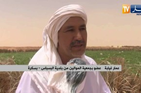 بسكرة: فلاحون يوفرون أعلاف مواشيهم بطرقهم الخاصة ببلدية البسباس