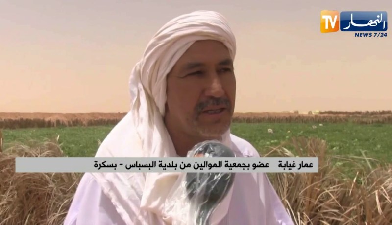 بسكرة: فلاحون يوفرون أعلاف مواشيهم بطرقهم الخاصة ببلدية البسباس