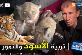 جزائريون: عبد الغاني..  شاب يهوى تربية الحيوانات المفترسة