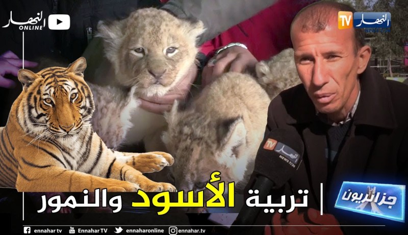 جزائريون: عبد الغاني..  شاب يهوى تربية الحيوانات المفترسة
