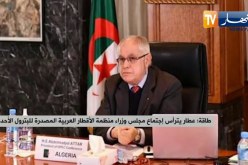 عطار يترأس إجتماع مجلس وزراء منظمة الأقطار العربية المصدرة للبترول الأحد