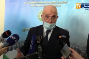 شرفي.. الهدف من الإستفتاء حماية صوت المواطن