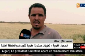 ورقلة: خسائر فلاحية كبيرة بسبب الرياح القوية