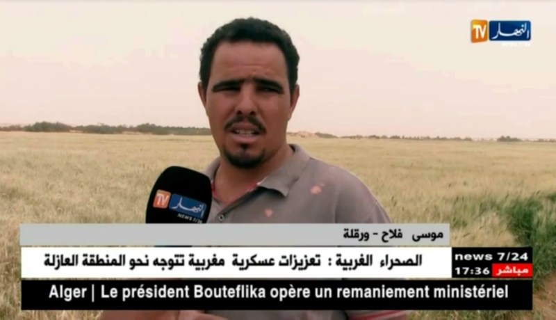 ورقلة: خسائر فلاحية كبيرة بسبب الرياح القوية