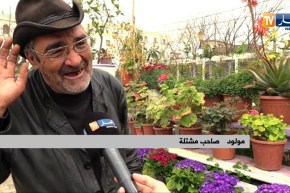 مجتمع: الورود المنتجة محليا الأكثر طلبا لدى الجزائريين