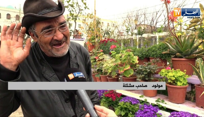 مجتمع: الورود المنتجة محليا الأكثر طلبا لدى الجزائريين
