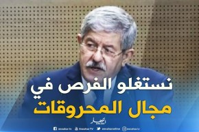 أويحيى : ” أكدنا على عزم الطرفين على إستغلال الفرص في مجال المحروقات !!”