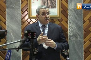 الوزير الأول: مظاهرات 11 ديسمبر.. محطة تاريخية من محطات الثورة التحريرية