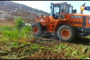 تلمسان.. بداية إتلاف المحاصيل والمنتوجات الفلاحية المسقية بالمياه القذرة