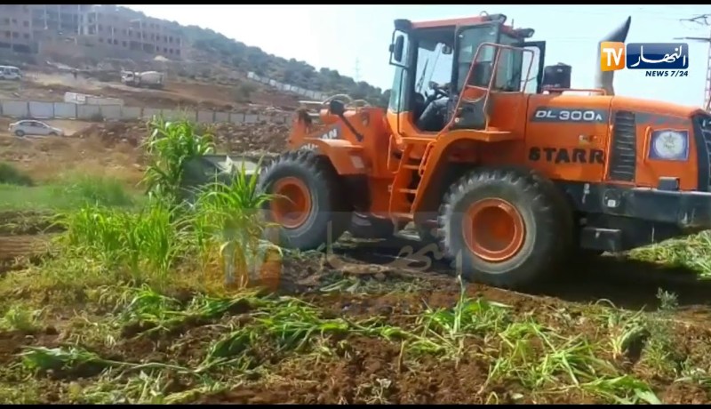 تلمسان.. بداية إتلاف المحاصيل والمنتوجات الفلاحية المسقية بالمياه القذرة