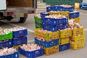 وهران: إحباط محاولة تسويق 25 قنطارا من الدجاج الفاسد