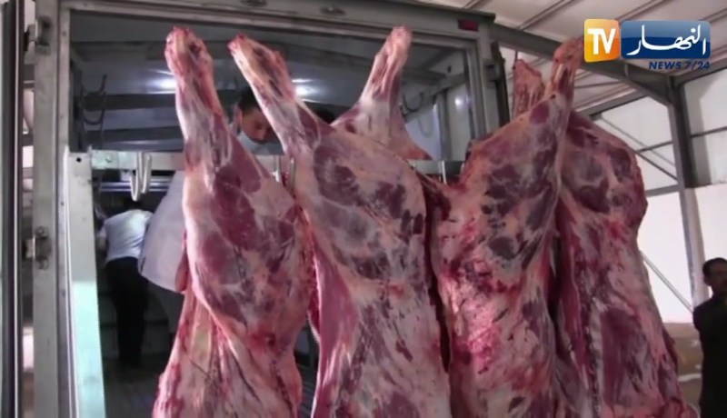 أدرار: إنطلاق أول شحنة من اللحوم الحمراء بـ 11طنا بإتجاه ولايات الشمال