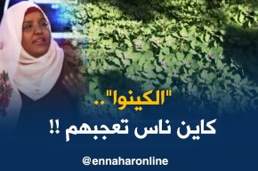 بعد أربع سنوات من إدخالها للجزائر..أين وصلت زراعة حبوب الكينوا ؟!