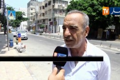 الفلسطينيون يعبرون عن فرحتهم الشديدة لتأهل المنتخب الوطني إلى المربع الذهبي