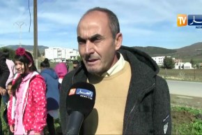 الشلف: الجيش والشعب خاوة خاوة في حملة تشجير